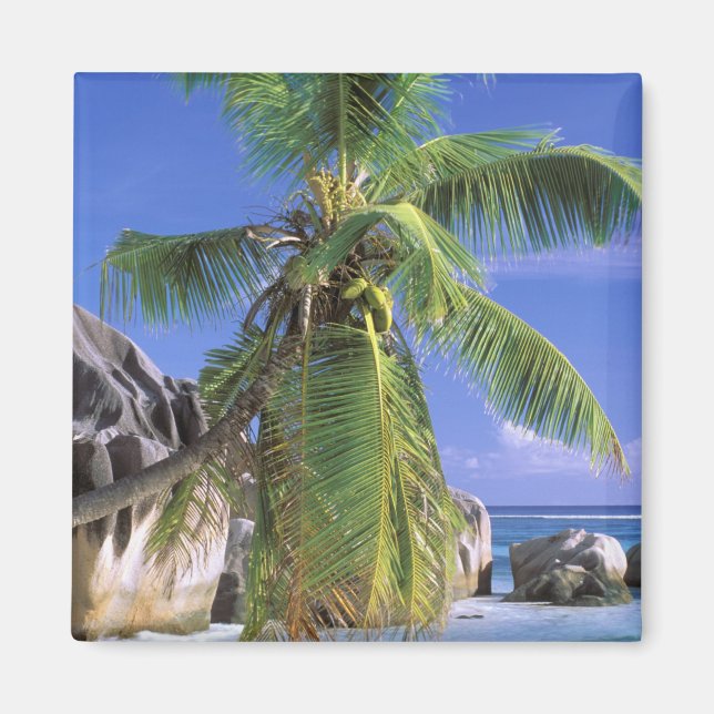 Afrika, Seychellen, La Digue Island. Granit 2 Magnet (Vorne)
