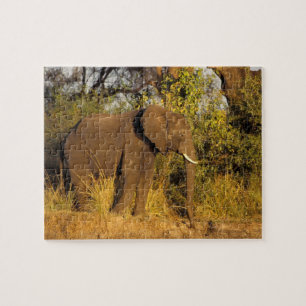 Afrika, Simbabwe, Victoria-Fälle-Nationalpark.