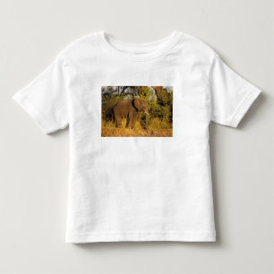 Afrika, Simbabwe, Victoria-Fälle-Nationalpark. Kleinkind T-shirt