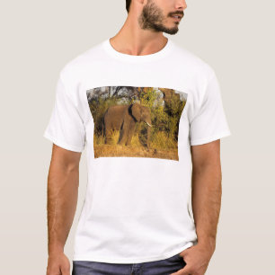 Afrika, Simbabwe, Victoria Falls National Park. T-Shirt