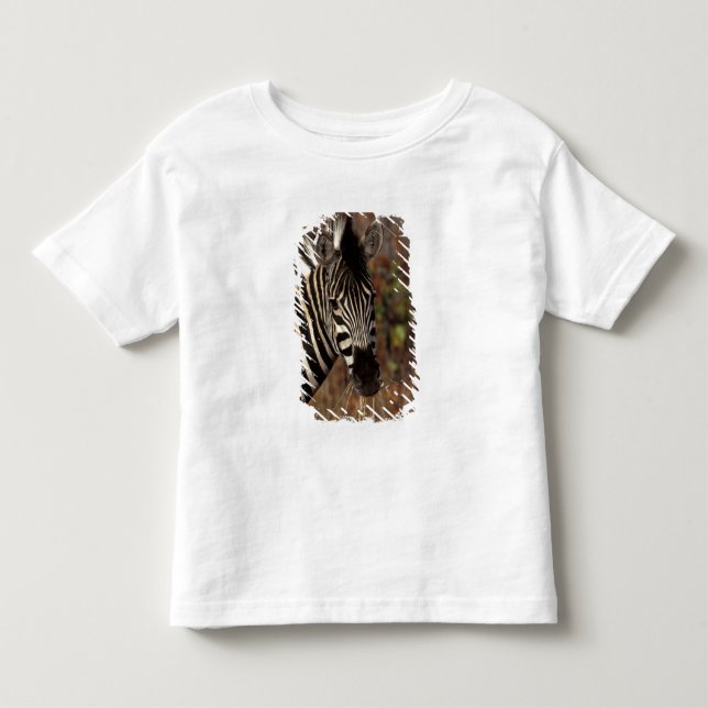 Afrika, Südafrika, Krüger NP Zebra-Portrait Kleinkind T-shirt (Vorderseite)