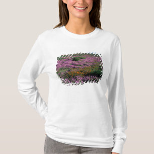 Afrika, Südafrika, Namaqualand, Orange und T-Shirt
