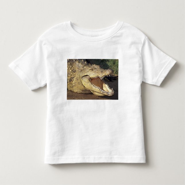 Afrika, Südafrika, Nilkrokodil Kleinkind T-shirt (Vorderseite)