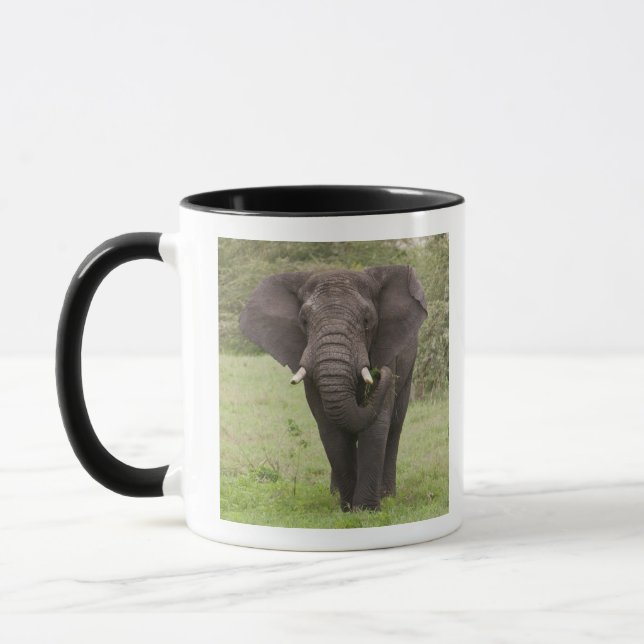 Afrika Tansania Elefant am Ngorongoro-Krater Tasse (Links)