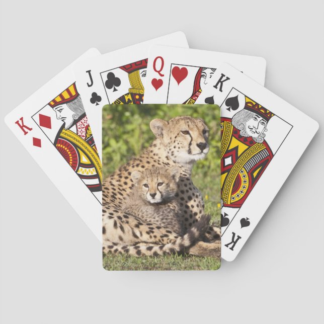 Afrika. Tansania. Gepardenmutter und Junge 2 Spielkarten (Rückseite)