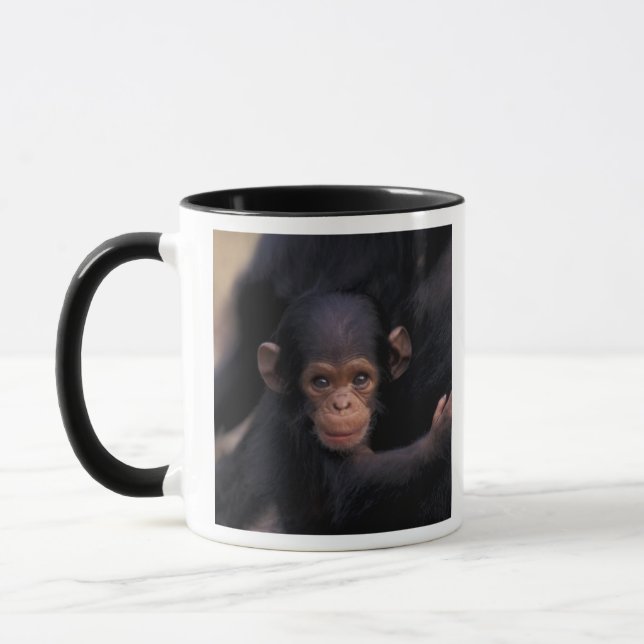 Afrika, Tansania, Gombe Nat'l Park Tasse (Links)