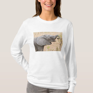 Afrika. Tansania. Junger Elefant bei Tarangire T-Shirt