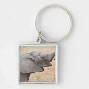 Afrika. Tansania. Junger Elefant im Tarangire Schlüsselanhänger