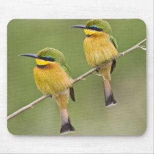 Afrika. Tansania. Kleine Bienenfresser bei Manyara Mousepad
