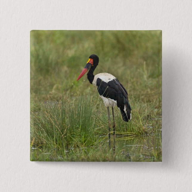 Afrika. Tansania Male Saddle-Lakai Stork Button (Vorderseite)