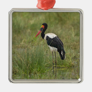 Afrika. Tansania. Männlicher Sattelstorch Ornament Aus Metall