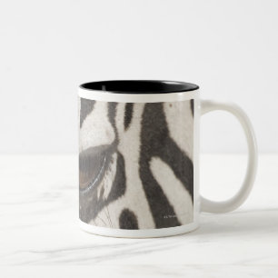 'Afrika, Tansania, Ngorongoro Erhaltung Area Zweifarbige Tasse