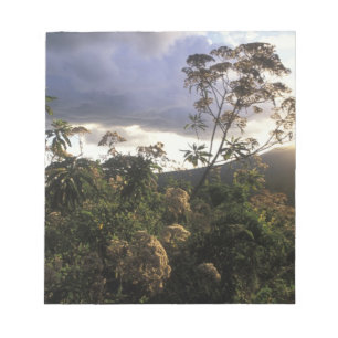 Afrika, Tansania, Ngorongoro-Schutzgebiet, Notizblock