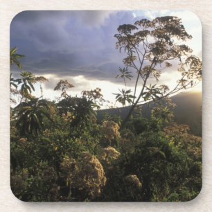 Afrika, Tansania, Ngorongoro-Schutzgebiet, Untersetzer