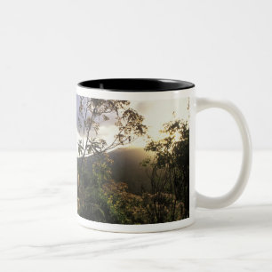 Afrika, Tansania, Ngorongoro-Schutzgebiet, Zweifarbige Tasse