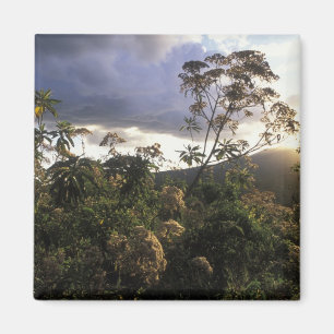 Afrika, Tansania, Schutzgebiet Ngorongoro, Magnet