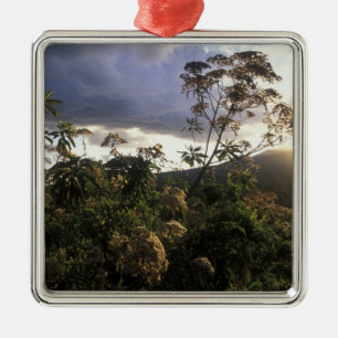 Afrika, Tansania, Schutzgebiet Ngorongoro, Ornament Aus Metall