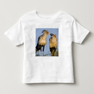 Afrika. Tansania Secretary Birds at Ndutu Kleinkind T-shirt