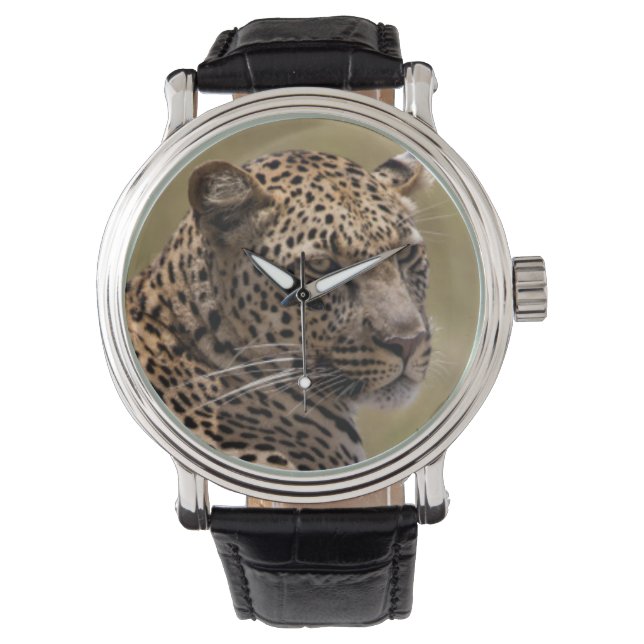 Afrika, Tansania, Serengeti. Leopard Armbanduhr (Vorderseite)
