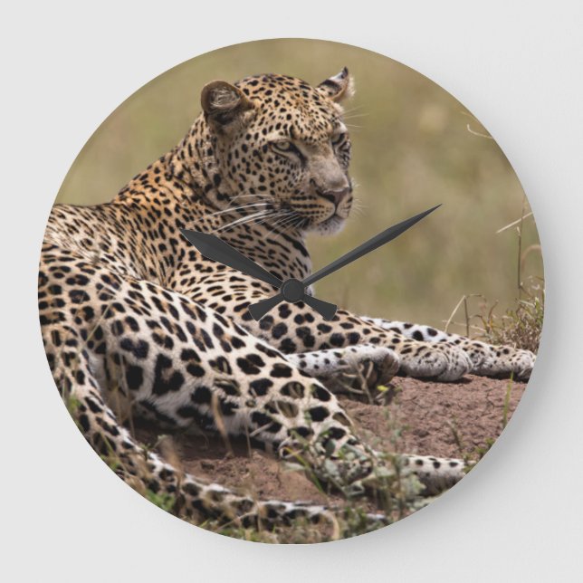 Afrika, Tansania, Serengeti. Leopard Große Wanduhr (Vorderseite)