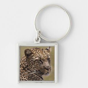Afrika, Tansania, Serengeti. Leopard Schlüsselanhänger