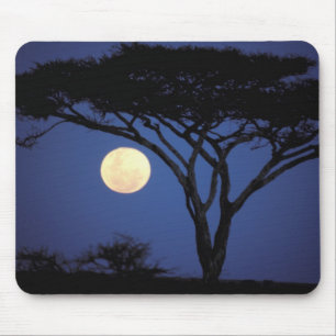 Afrika, Tansania, Tarangire. Akazienbaum in Mousepad