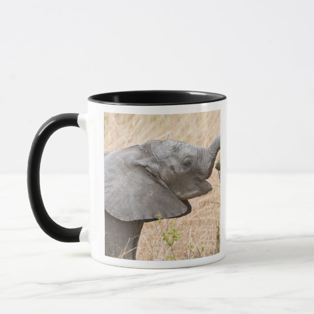 Afrika. Tansania Young Elephant in Tarangire Tasse (Links)