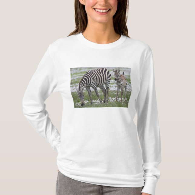 Afrika. Tansania Zebra Mutter und Colt T-Shirt (Vorderseite)