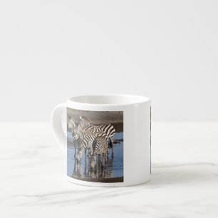 Afrika. Tansania. Zebras trinken in Ndutu Espressotasse