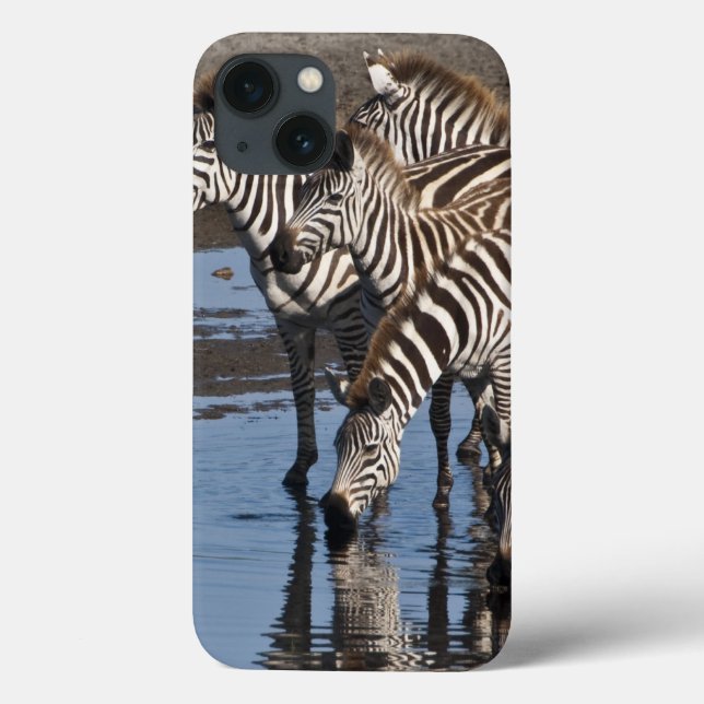 Afrika. Tansania Zebras trinken in Ndutu in Case-Mate iPhone Hülle (Rückseite)