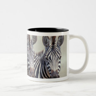Afrika, Tansania, Zebras Zweifarbige Tasse