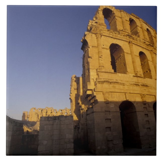 Afrika, Tunesien, El Jem. Ruinen eines Römischen Fliese (Vorderseite)