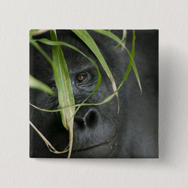 Afrika, Uganda, Bwindi Button (Vorderseite)