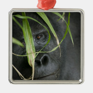 Afrika, Uganda, Bwindi Ornament Aus Metall