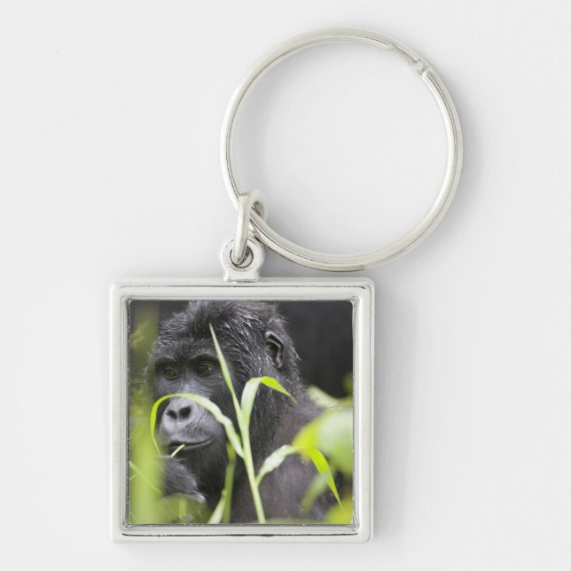 Afrika Uganda, Bwindi Schlüsselanhänger (Vorne)