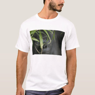 Afrika, Uganda, Bwindi T-Shirt