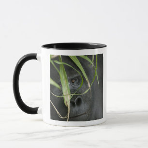 Afrika, Uganda, Bwindi Tasse