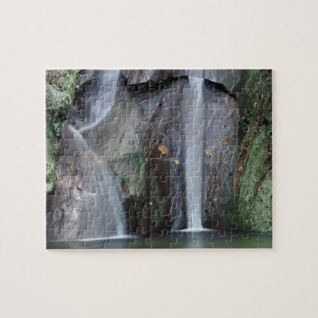 Afrika, Uganda, Bwindi Undurchdringlicher Regenwal (Horizontal)
