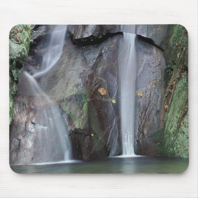 Afrika, Uganda, Bwindi Undurchdringlicher Regenwal Mousepad (Vorne)