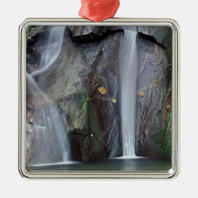 Afrika, Uganda, Bwindi Undurchdringlicher Regenwal Ornament Aus Metall (Vorne)