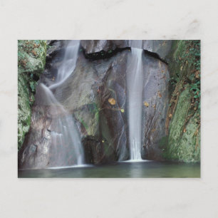 Afrika, Uganda, Bwindi undurchdringlicher Regenwal Postkarte