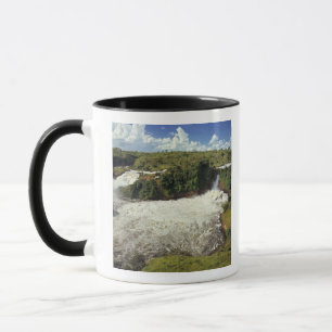 Afrika, Uganda, Murchison Falls NP. Das schaumige Tasse