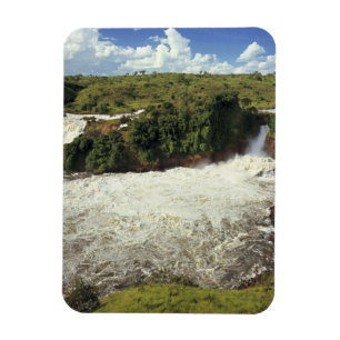 Afrika, Uganda, Murchison Falls NP. Der Frost Magnet