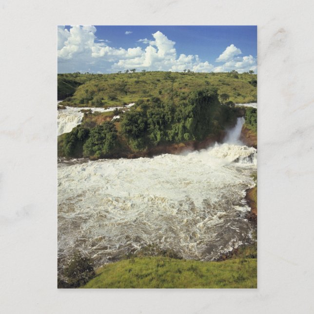 Afrika, Uganda, Murchison Falls NP. Der Frost Postkarte (Vorderseite)