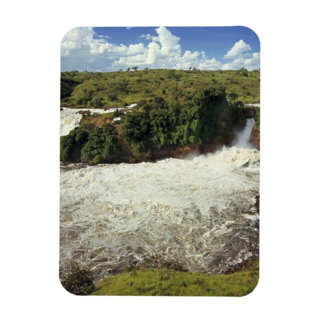 Afrika, Uganda, Murchison Falls NP. Der Schnee Magnet (Vertikal)