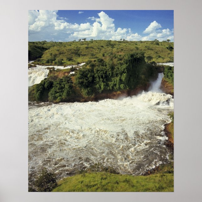 Afrika, Uganda, Murchison Falls NP. Der Schnee Poster (Vorne)