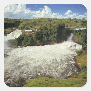 Afrika, Uganda, Murchison Falls NP. Der Schnee Quadratischer Aufkleber