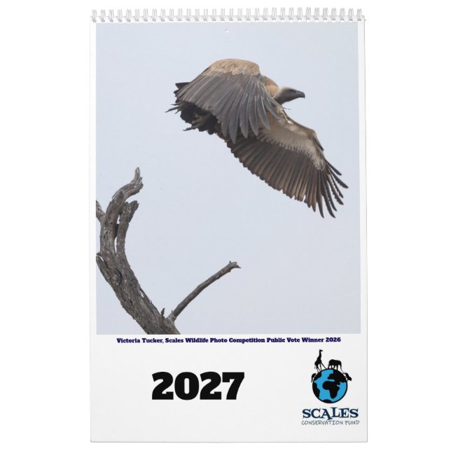 Afrika-Wildtierkalender 2027 Kalender (Titelbild)