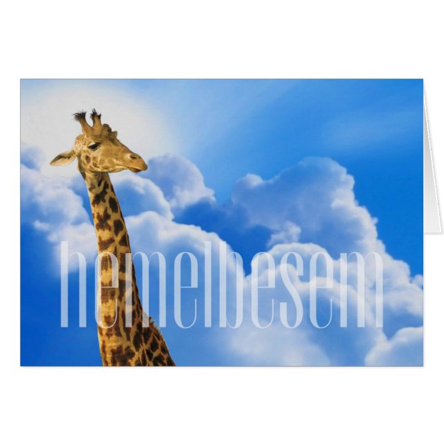 #AfrikaansIsLekker - Hemelbesem (Vorderseite (Horizontal))