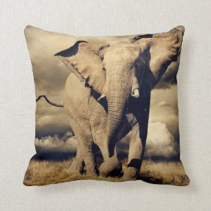 AFRIKANER-BULL-ELEFANT-KISSEN KISSEN